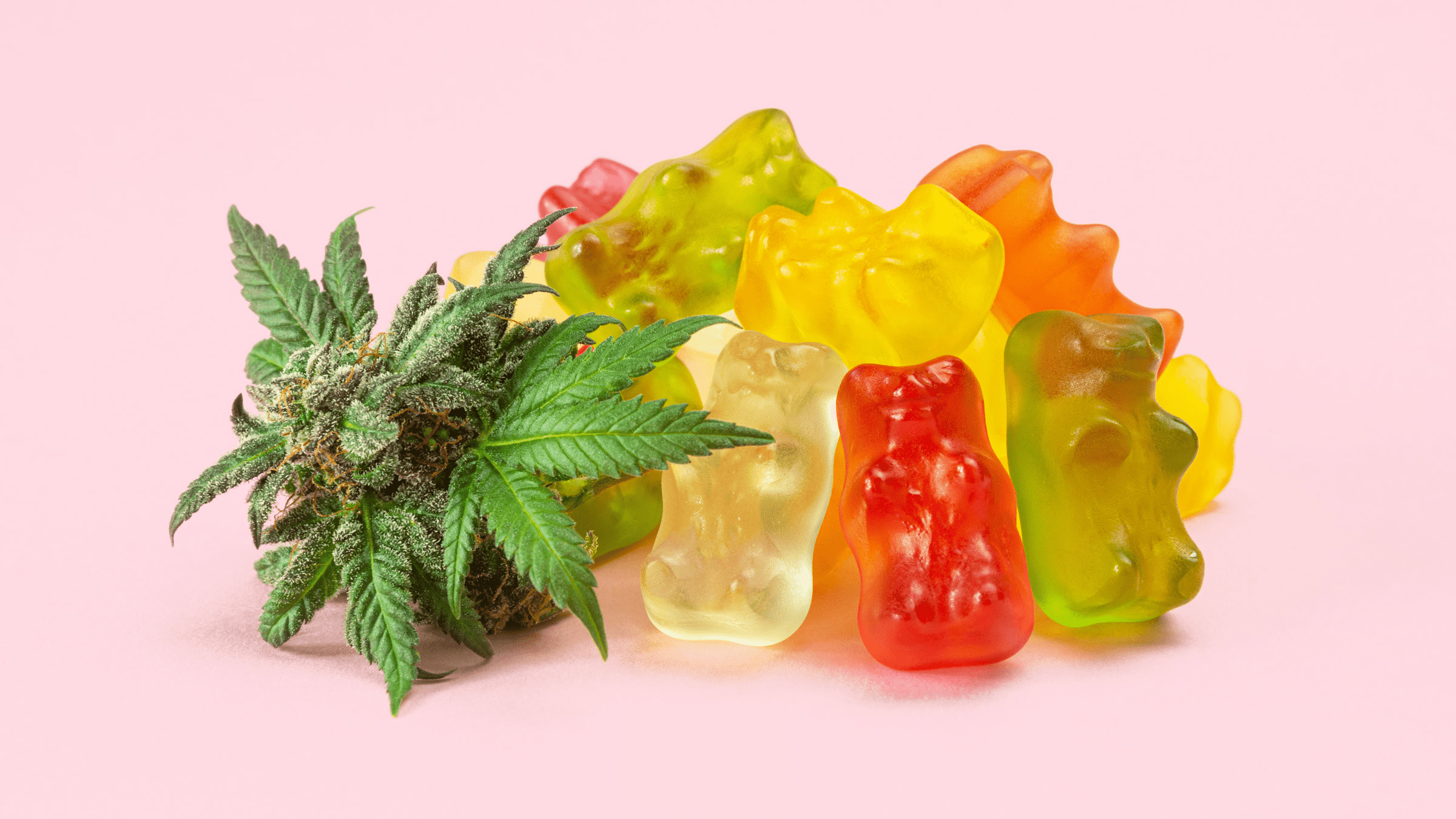 How to Keep Weed Gummies Fresh